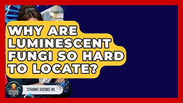 Why Are Luminescent Fungi So Hard To Locate? - Strange Science HQ