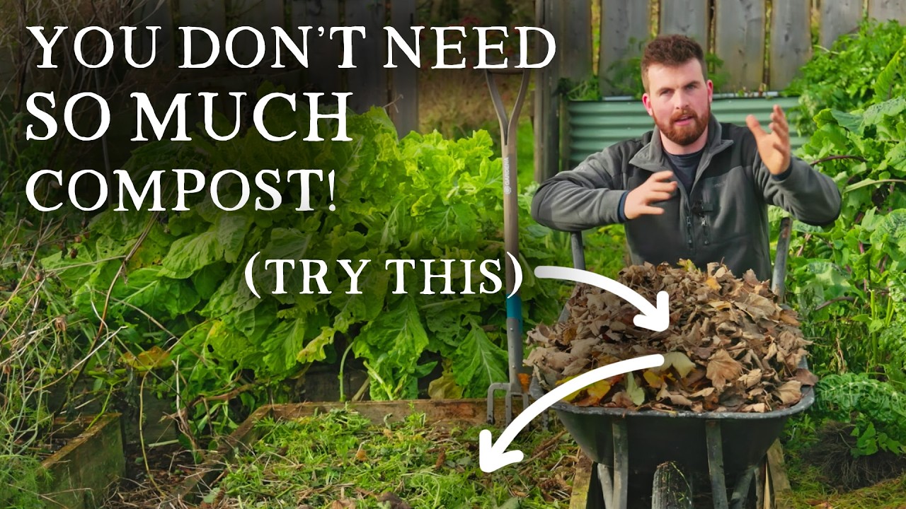 How to Grow More Food With Less Compost | The Complete Guide