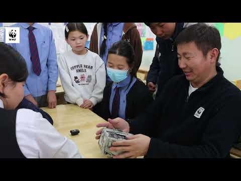 Автомат камер суурилуулж сурав