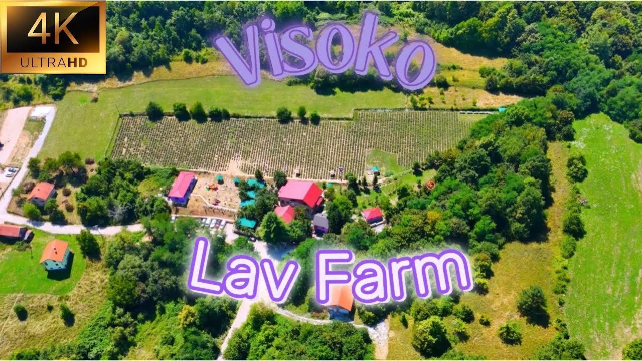 Otkrijte čaroliju puta do Lav Farme - Put do najmirisnijeg mjesta u Bosni 💜