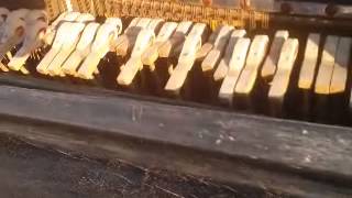 Niki Giusino Improvvisa Mozart