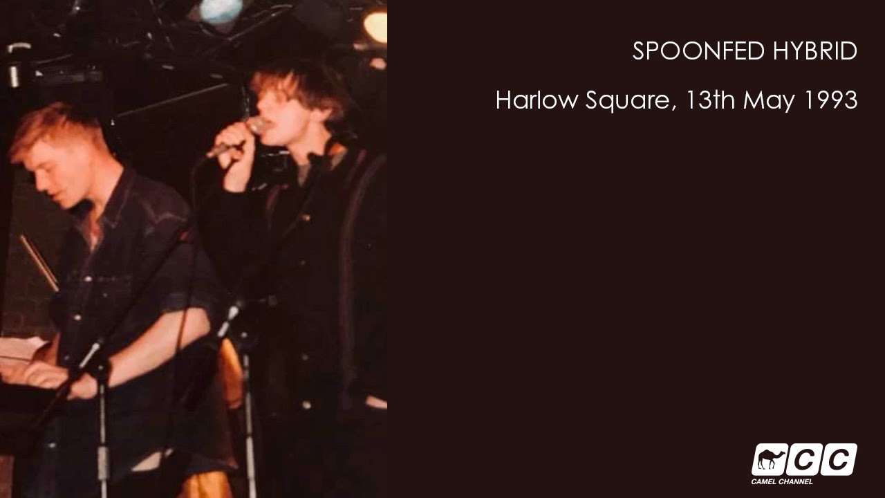 Spoonfed Hybrid - A Pocket Full Of Dust