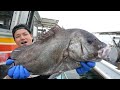 暴風後の濁海で獲れた巨大魚を食べてみた。【甘酢タルタル定食】