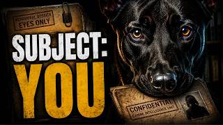 Your Dog Has Been Keeping a File on You
