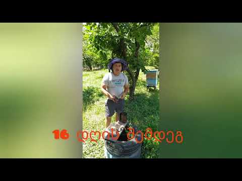 ექსპერიმენტი სტაციონალურ პირობებში (დემარის მეთოდი)