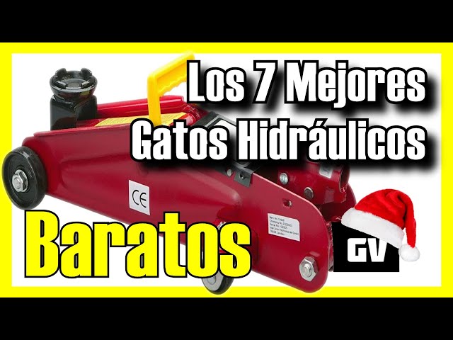 Los Mejores Gatos Hidráulicos para Coches