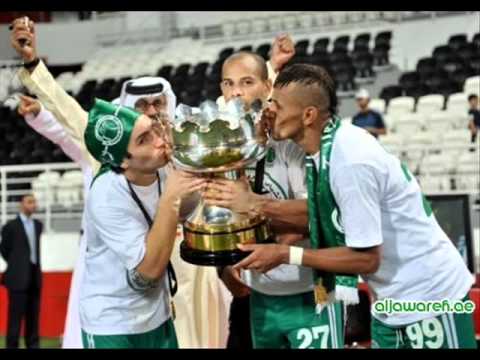 بانوراما الجوارح بطل كاس الإتصالات
