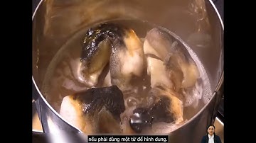 Chế biến cá nóc tại Nhật