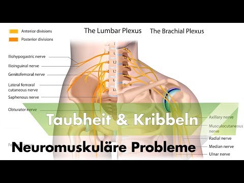 Kribbeln in Händen & Beinen | Neuromuskuläre Probleme | Ursachen& Lösungen