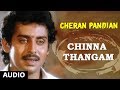 Chinna Thangam Full Song || Cheran Pandian || Sarath Kumar, Srija, Soundaryan | Tamil Songs