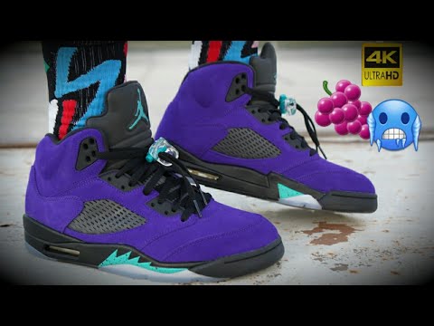 AIR JORDAN RETRO 5 \