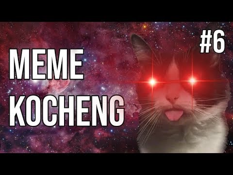kocheng.exe-!-meme-kucing-#6