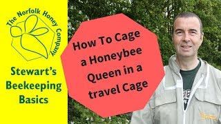 How To Cage a Honeybee Queen