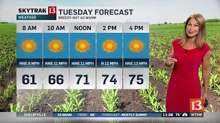 Skytrak Weather Forecast