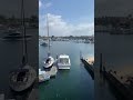 Semirigidefr vido  il vole un yacht et dtruit plusieurs bateaux dans un port de plaisance