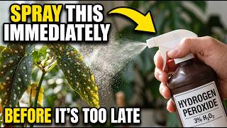 Why You Should MIST Your Plants with Hydrogen Peroxide Immediately (Here's The Truth)