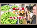 梅30Kg！！！北斗晶・佐々木健介夫妻でひたすら梅干しづくりのヘタ取り