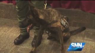 SNN Manatee County Sheriff’s Department Gets a New K9