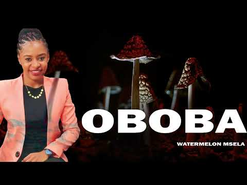 WATER MELON MSELA OBOBA 