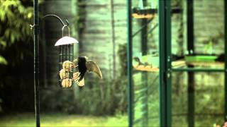 Starling Landing 04