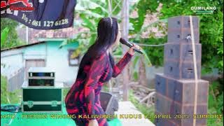 BADAI BIRU EMA VERNANDA - CAMELIA - HALAL BIHALAL PEMUDA WINONG BERSATU - WINONG KALIWUNGU KUDUS