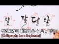 Eng sub) 초보자들을 위한 캘리그라피 강좌 #01 : [Calligraphy For a Beginners]