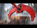 Giant Wood Chippers in Action | Industrial Tree Processing
