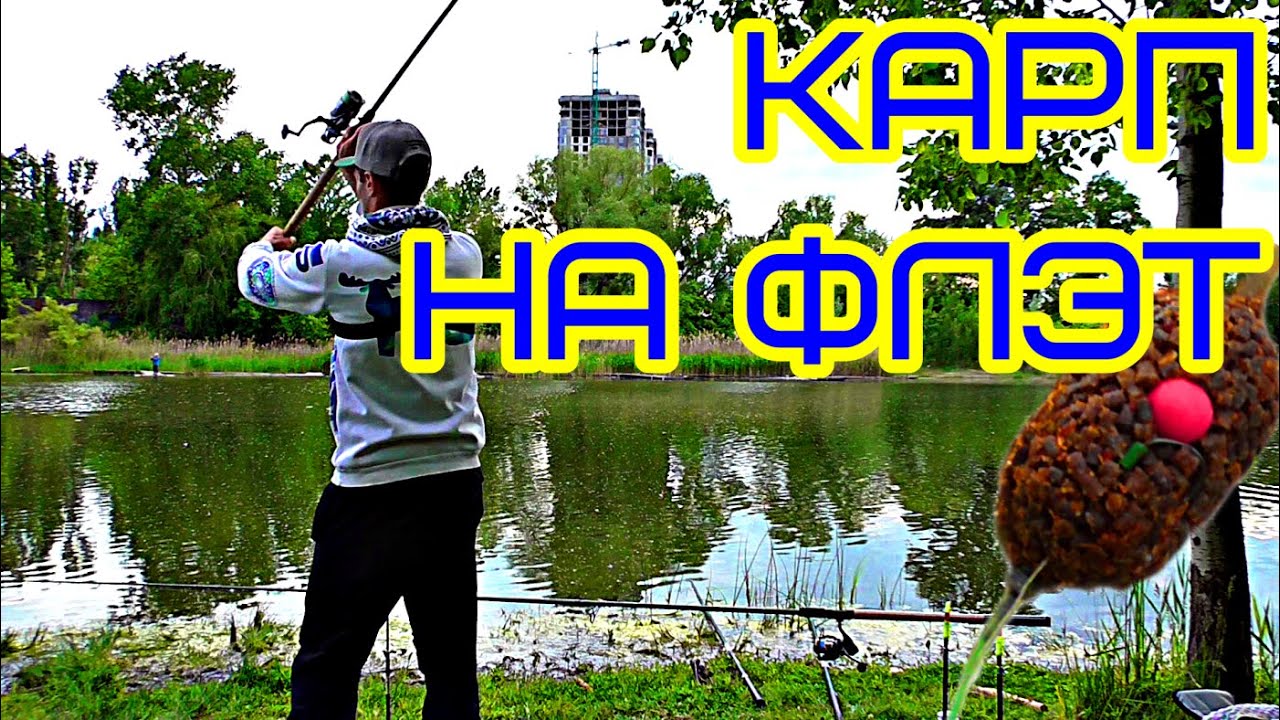 КАРП на ФЛЭТ фидер. Ловля карпа на поп ап. Рыбалка карповая - YouTube