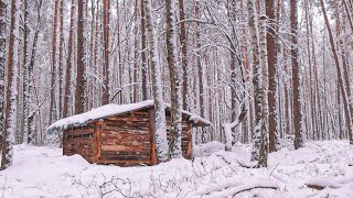 11 days building a dugout shelter, bush cabin, solo overnight, Autumn  Winter