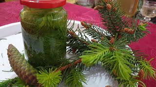 Honey from pine and fir needles - a natural remedy against colds and decreased immunity