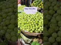 Ref:FV2mDhG-W88 �conoces el amla o grosella espinosa india 