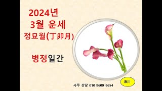 2024년 3월 정묘월 운세 병정일간