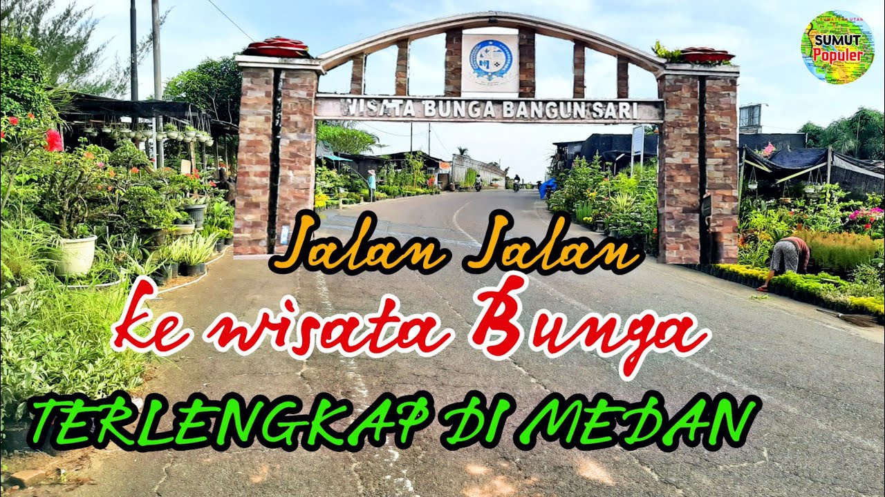 Jalan jalan ke pusat pembibitan bunga dan tanaman di kota Medan