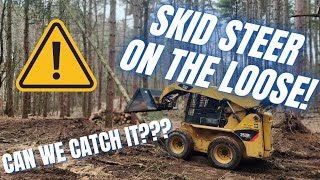 A Wild Skid Steer Has Appeared!!! It Won't Stop Knocking Down Trees!!! Clearing land with CAT 252B!!