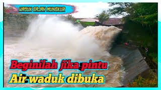 PINTU AIR WADUK GAJAH MUNGKUR DI BUKA // Air waduk mengalir deras