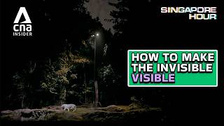 Four Hidden Details Behind Singapore's Night Safari | Singapore Hour