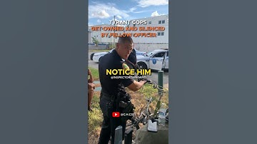 Tyrant Cop Gets Owned and Silenced by Fellow Officer When the Former Doesn