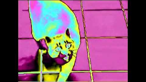 Shortest Video on YouTube Parts (1-100) in Clearer