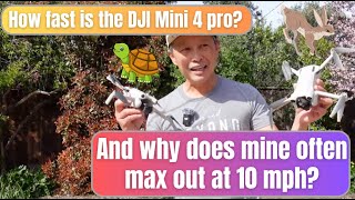 How fast is the DJI Mini 4 Pro?  - Top speed test in each of the flying modes