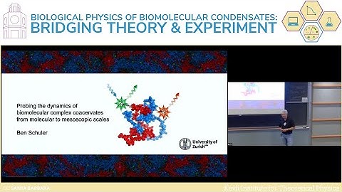 Probing the dynamics of biomolecular complex coacervates from molecular to... | Ben Schuler (Zurich)