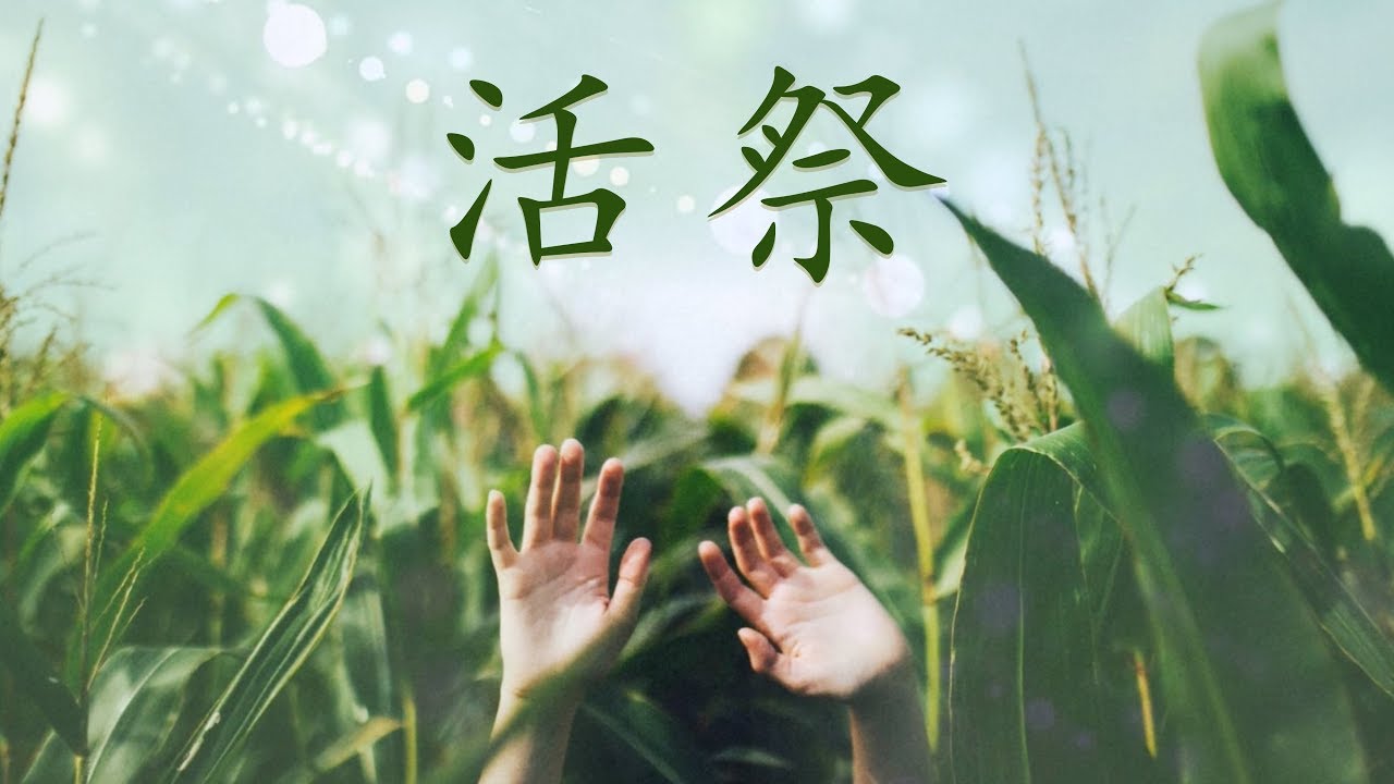 活祭（含經文禱告旁白：獻給祢 國語詩歌 小羊詩歌授權） - YouTube