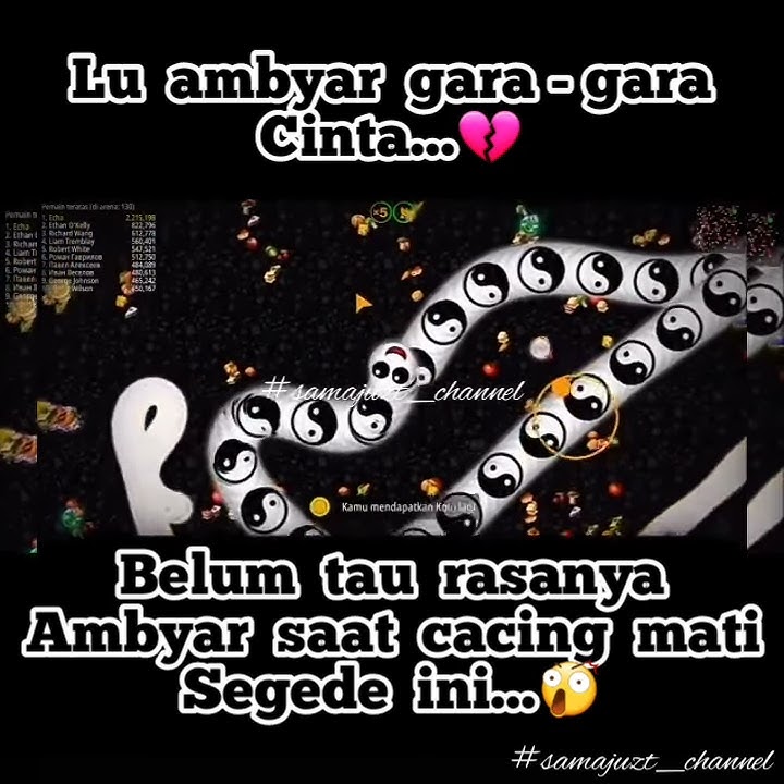 Story WA Cacing Ambyar..!!!
