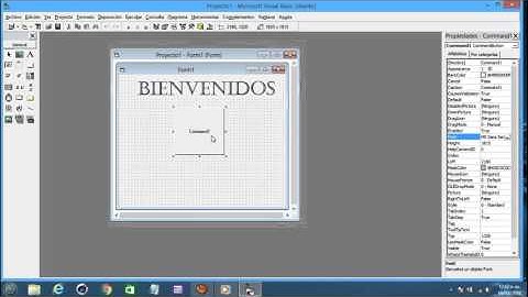 COMO CREAR MENSAJES DE BIENVENIDA EN VISUAL BASIC