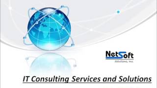 IT Consulting Services and Solutions - Netsoft