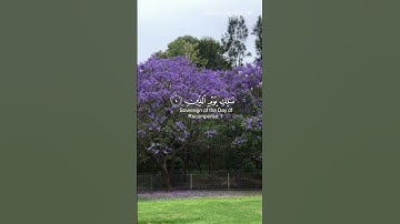 سورة الفاتحة للقرئ شريف مصطفى ، تلاوة خاشعة ☘️ #قران_كريم  #دعاء #قران_كريم  #اسلاميات  #namaz