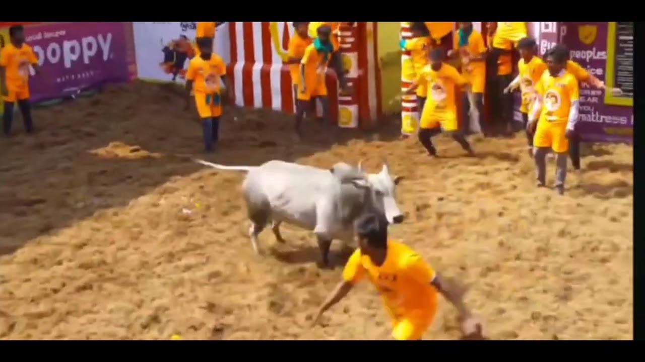 C M Gold prize kalai 