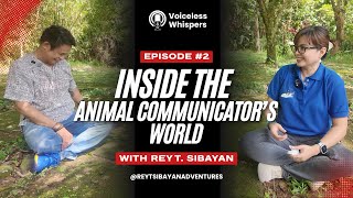 Inside the Animal Communicator’s World: Episode 2: All about the Rainbow 🌈 bridge pets 🐾