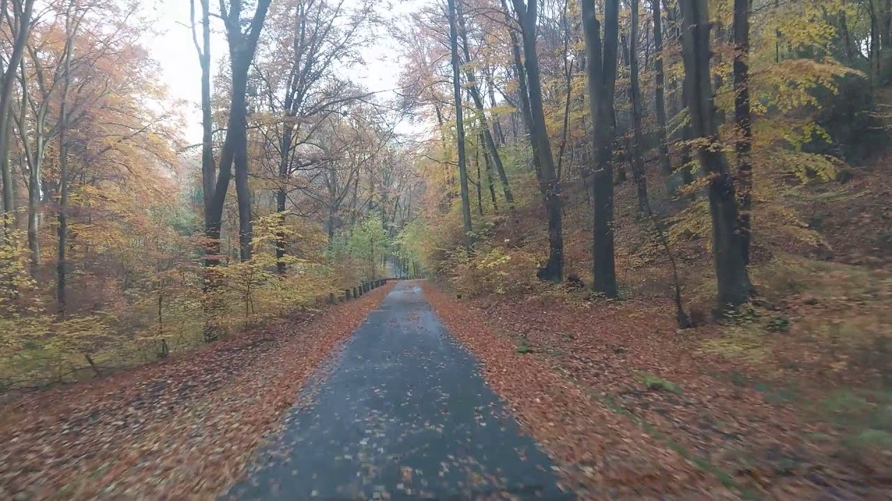 Herbst 2019 Herbst Ist Da Wann Kommt Der Herbst 2019 Herbst