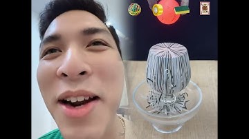 🤣👌👌👌 Một bộ sưu tập các cảnh quay điên rồ của 2025 phải xem #Comedy #fyp #pov #fyp #foryou 😍😜