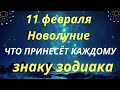 11 февраля новолуние. Что принесёт каждому знаку зодиака?